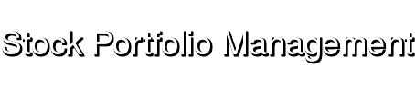 Stock Portfolio Management